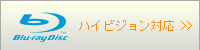 �n�C�r�W�����Ή�